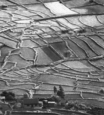 Террасированные рисовые поля (Япония)