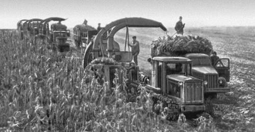 Уборка кукурузы в колхозе