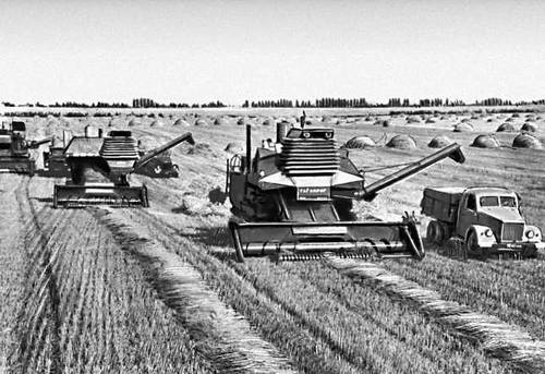 Уборка зерновых (Черкасская область)