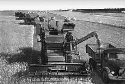 Уборка пшеницы (Татарская АССР)