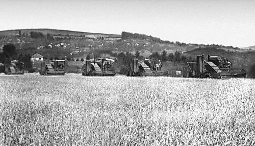 Уборка пшеницы (Босния)