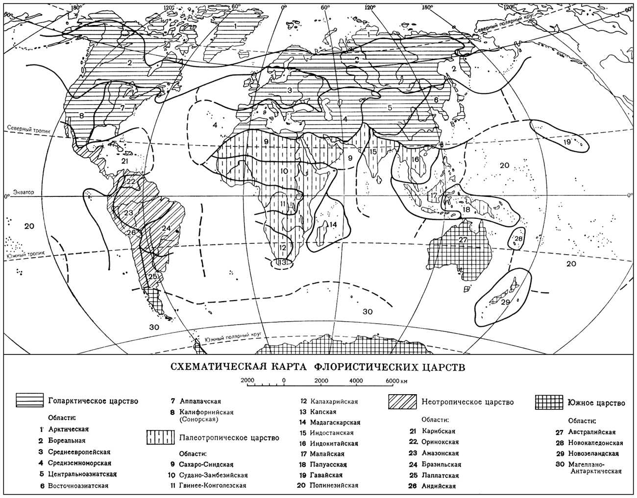 Флористические царства (карта)