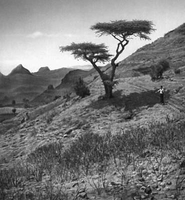 Эфиопское нагорье (пейзаж)